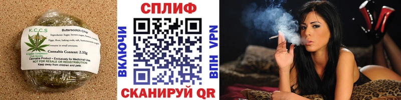 Купить  Изобильный  Canna-Cookies конопля 
