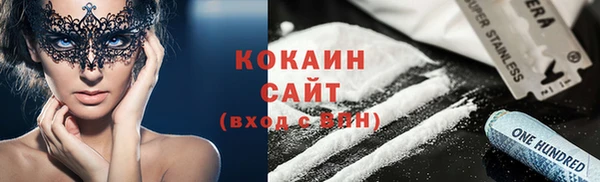 гидра Каменногорск