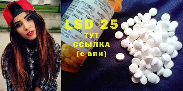 PSILOCYBIN Иннополис