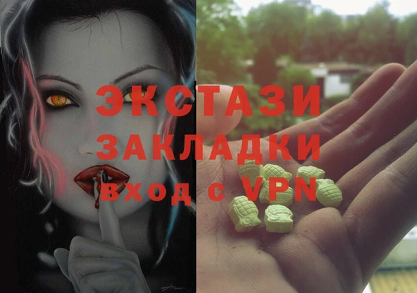 гидра Каменногорск
